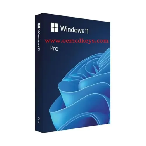 Image of Microsoft Windows 11 Pro Genuine Lifetime Retail License Key
