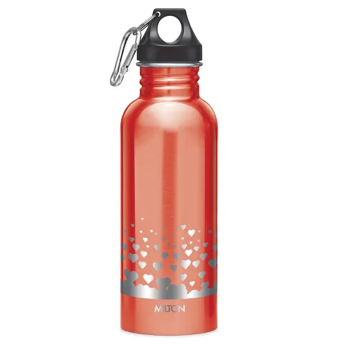 Image of MILTON Stainless Steel Water Bottle 750ml