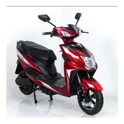 MIOOX Electric Scooter, Sporty Design, Black and Grey, LED Headlight, Wide Seat, Waterproof Lithium Ion Battery with 48V 30AH Range 50-60km Speed:35-40km/h Non RTO-EV Bike (Red)