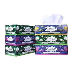 MISTIQUE Ultra Soft 2 Ply Facial Tissue Paper Box | 600 Pulls
