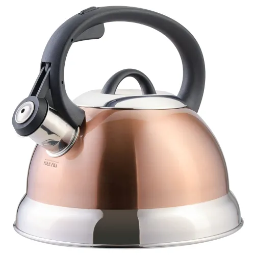 Image of Mr. Coffee Flintshire Stainless Steel Whistling Tea Kettle W/Nylon Handle