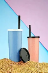 Multipurpose Juice Bottle with Straw- Unbreakable Shaker Glass with Wooden Straw and Airtight Lid for Coffee, Juice, and Smoothies for Home, Office, Restaurant, Cafe &Travel Sipper Bottle