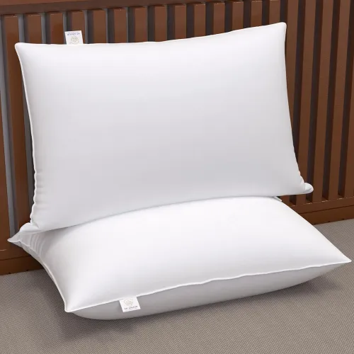 Image of MY ARMOR Microfiber Pillows Set 2, 16 x 24 Inches