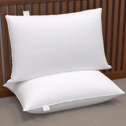 MY ARMOR Microfiber Pillows Set 2, 16 x 24 Inches