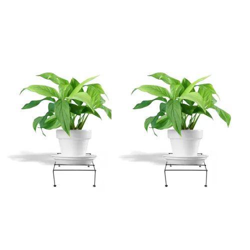 Image of NAYRA Strong Plant Pot Flower Square Stand -2