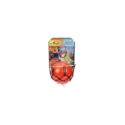Negis Deluxe Basket Ball (Multicolor)