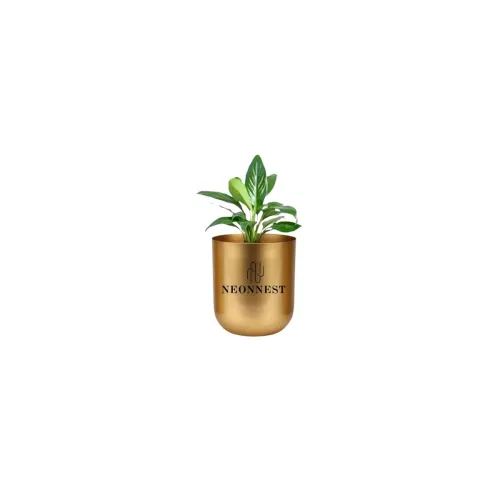 Image of Neonnest® 4.3 inches Round Metal Planter for Home Decor, Pack of 1 