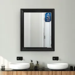 Nilkamal Gem Plastic Cabinet With Mirror, 12.5D x 44.6W x 55.3H cm (Black)