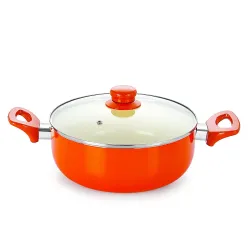 Nirlon Non Stick Induction Casserole with Glass Lid
