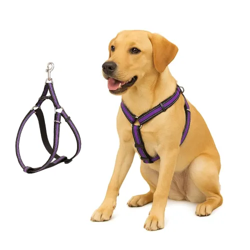 Image of Dog Harness No Pull with Front Clip | Dog Walking Chest Harness with Reflective Adjustable Soft Padded Vest and Easy Con