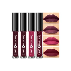 NOY Smudgeproof Matte Liquid Lipstick For Ethereal Beauty Wine, Coffee Wine, Purple, Maroon (Combo-4)