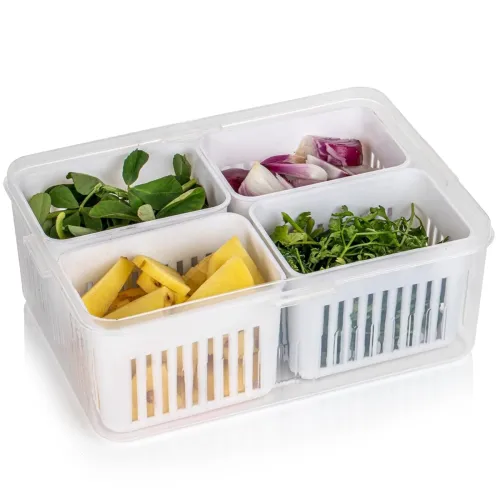 Image of Oblivion fridge storage boxes (4- Compartment)