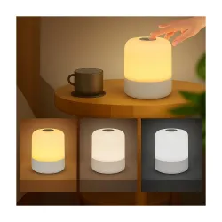 One94Store Oval Shaped LED Table Lamp USB Rechargeable Touch Night Light 