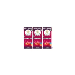 Only Earth Oats Shake – Strawberry, Plant-Based, Lactose-Free (200ml, Pack of 3)