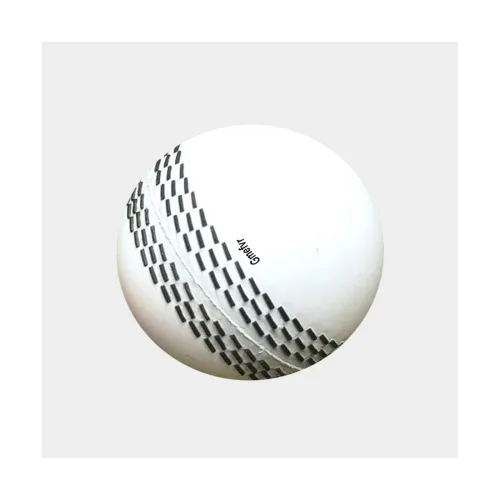 Image of Original i20 Wind Ball 100 Over Play White
