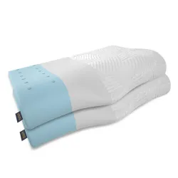 ORISTA Advance Gel Cervical Memory Foam Pillow (Set of 2)
