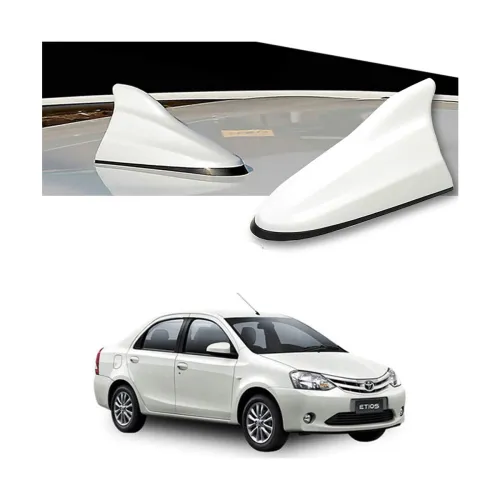 Image of Oshotto Car Shark