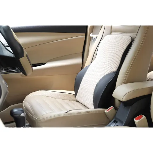 Image of Oshotto Leatherite Finish Memory Foam Lumbar Support Cushion