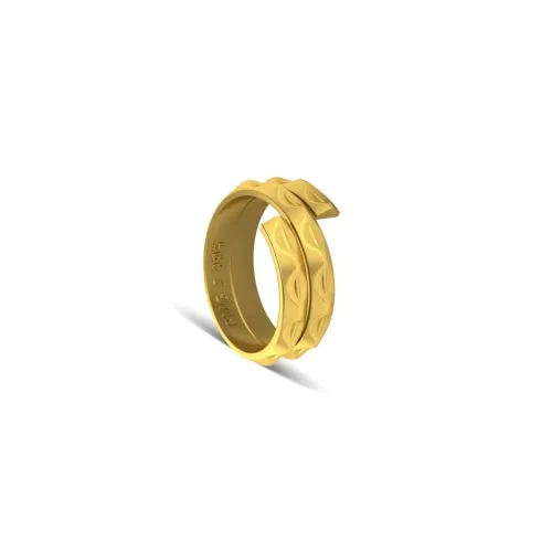 Image of P.N.Gadgil Jewellers 1 gm Vedhani Gold coin 24 kt (995)