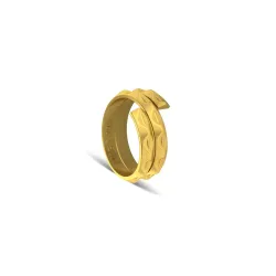 P.N.Gadgil Jewellers 1 gm Vedhani Gold coin 24 kt (995)