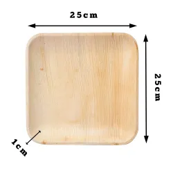 Palm Leaf Disposable Plates 10 Inch Square