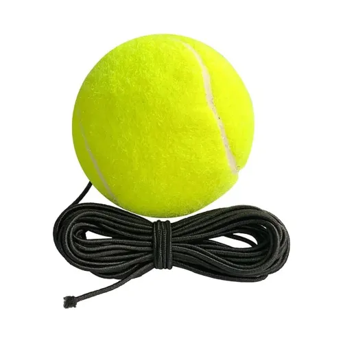 Image of PANVRI Cricket Practice Hanging Ball