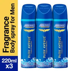 PARK AVENUE Original Combo Deodorant Spray  