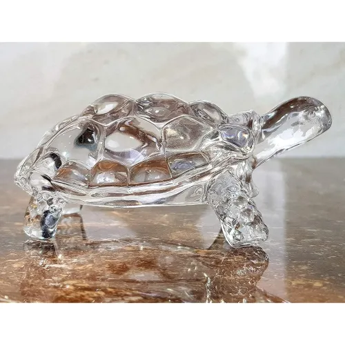 Image of perpetual Crystal Tortise