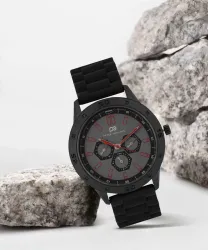 PETER ENGLAND Analog Watch - For Men