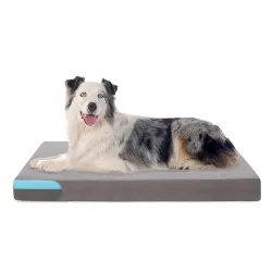 Petorrey Plush Memory Foam Dog Bed