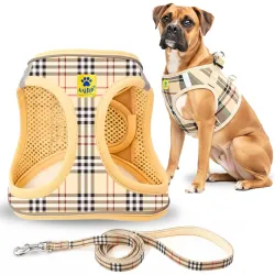 A+a Pets Bur-Berry Checks Dog Harness Leash Set XL