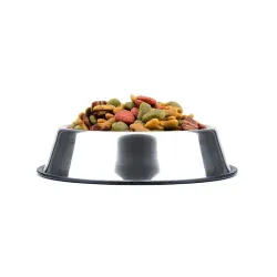 Pets Empire Dog Feeding Steel Bowl