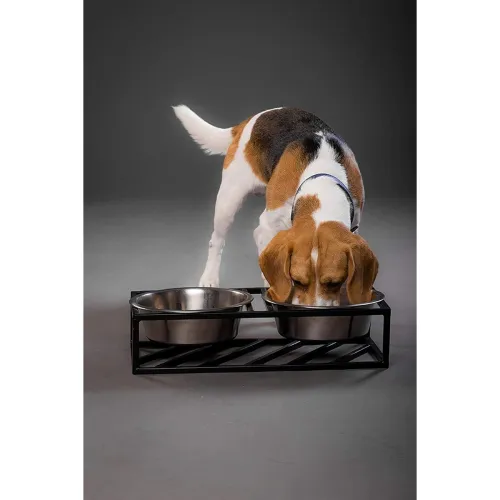 Image of Pets Empire Wrought Iron Dog Bowl Stand 