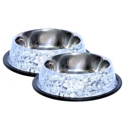 Pets Empire Stainless Steel Dog Bowls (700ml x 2)