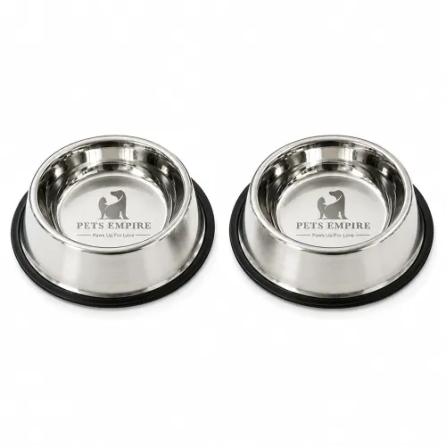 Image of Pets Empire Stainless Steel Feeding Bowl