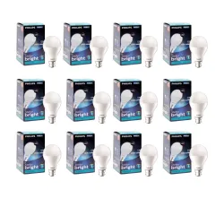 PHILIPS 17-Watt LED Bulb Pack of 12
