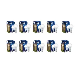 Philips 22-watt LED Bulb |AceBright High Wattage LED Bulb  Pack of 10