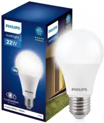 PHILIPS 22 W Basic Round E27 LED Bulb (White)