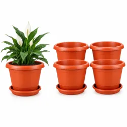 Plant Pots | Plant Pot with Bottom Tray | Plant Pots for Home | Pots for Plants