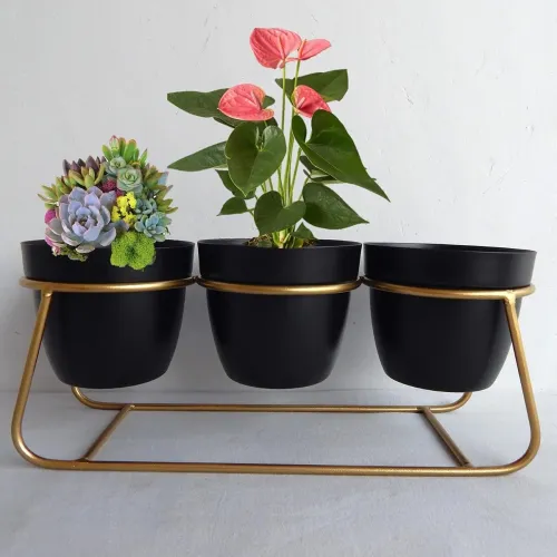 Image of Planter Flower Pot for Indoor Decorative 