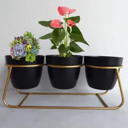 Planter | Flower Pot for Indoor, Po3