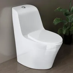 Plantex Imported Ceramic Commode for Toilet