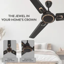 Polycab Superb Plus 1200mm Star Rated Ceiling Fan For Home