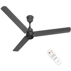 Polycab Wizzy Plus 1200mm 5-Star BLDC Remote Ceiling fan