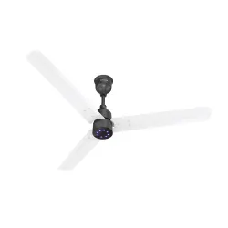 Polycab Wizzy Plus LED 1200mm BLDC Ceiling Fan with remote
