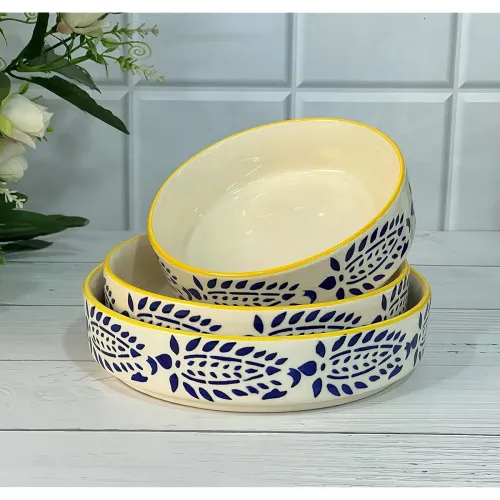 Image of Praahi Lifestyle Premium Ceramic Salad Bowl Set of 3