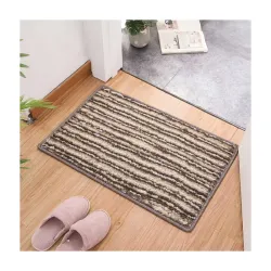 Premium Microfiber Anti-Slip Doormat