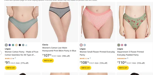 Image of Premium Women panties & Bras From ₹91