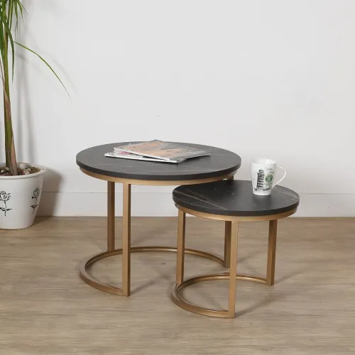 Image of Priti Coffee Table (SO2)