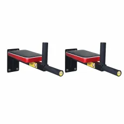 Protoner Wall Mount Bar for Dips & Leg Raise (120kg)